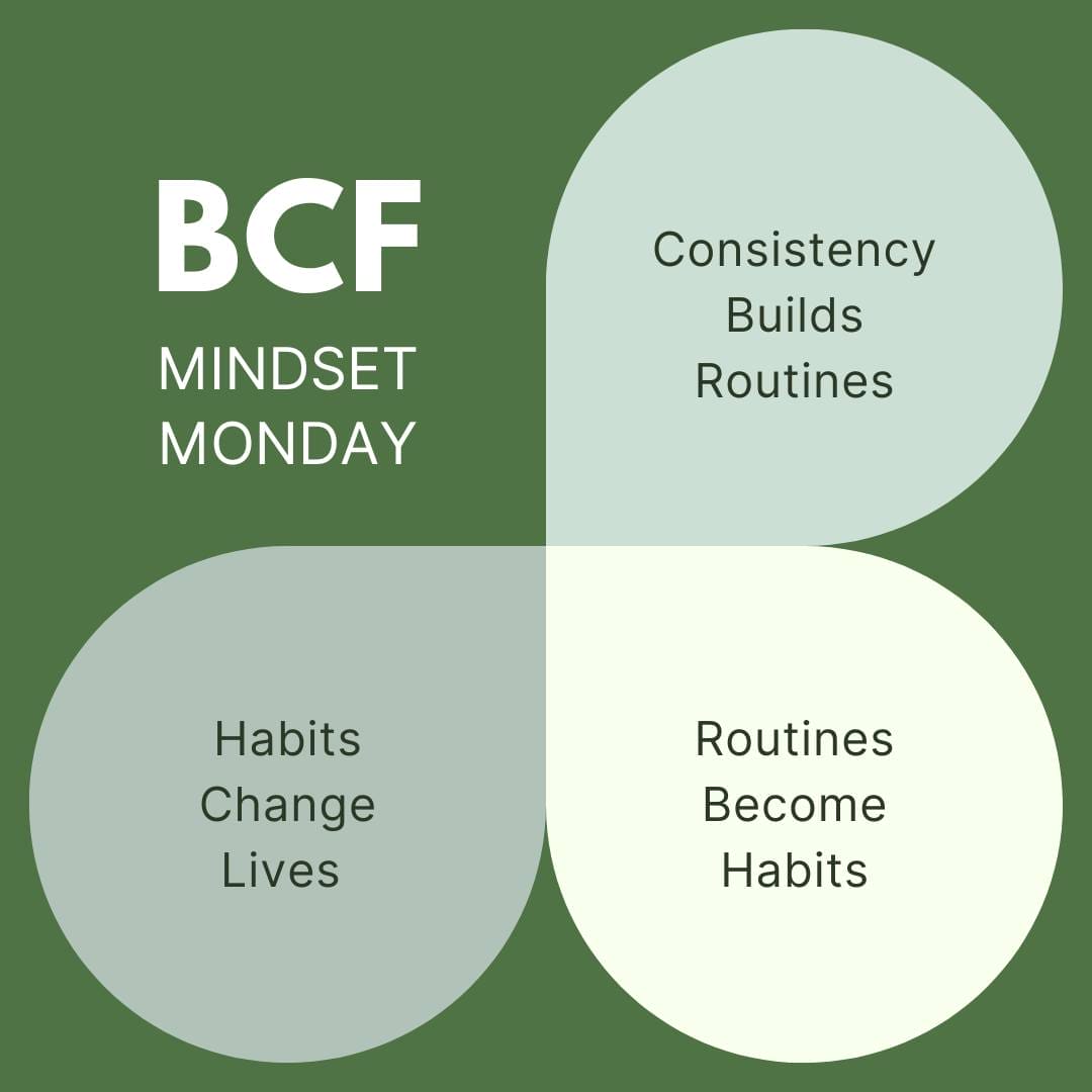 Habits, Routines, What's the Difference? 1 346038532 9219952738075828 5521926520932208365 n